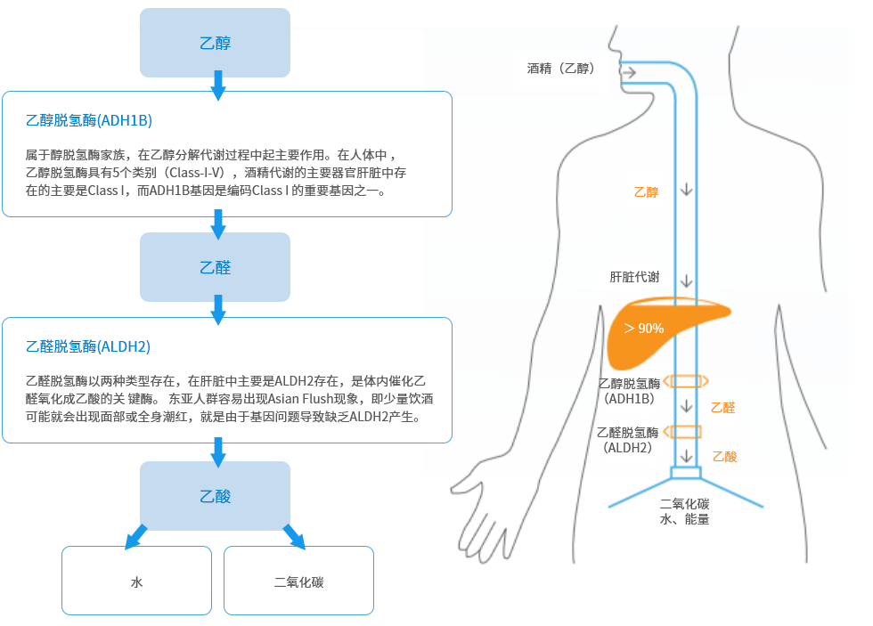 酒精